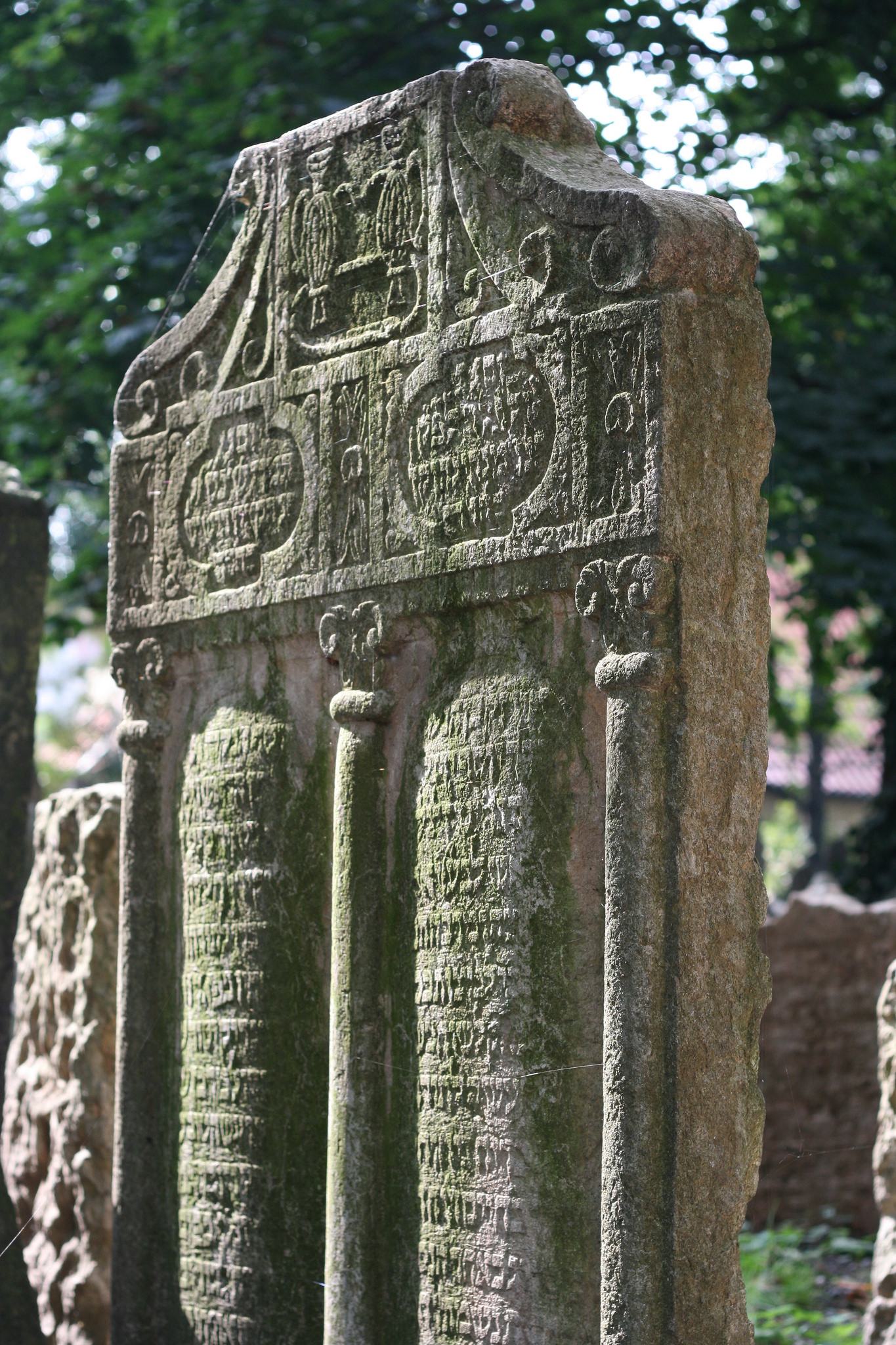 15474941916_5548559f3b_k